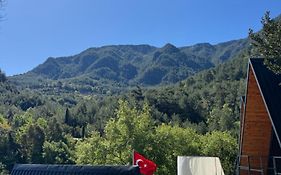 Dimçayı Yağız Bungalov